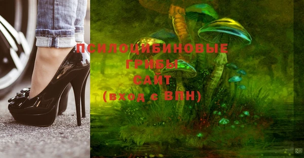 стаф Абинск