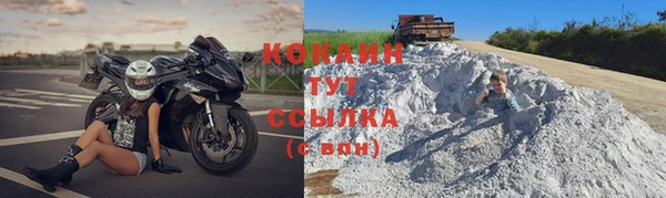 стаф Абинск