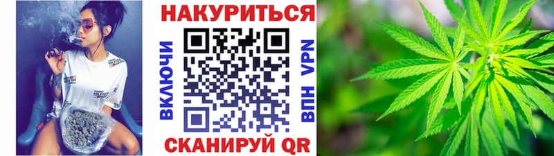 Конопля планчик  Архангельск 